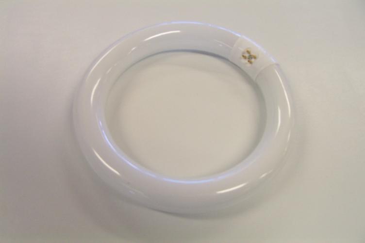 22 watt round fluorescent globe